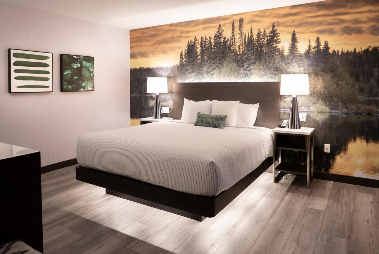 Cambria Shelby Township - Detroit Utica Hotel 3*